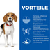 Hill's Science Plan Hund Perfect Weight Medium Adult Huhn 2kg