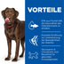 Hill's Science Plan Healthy Mobility large Huhn 14kg