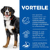 Hill's Science Plan Senior Vital Large 6+ 14kg