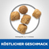 Hill's Science Plan Katze Adult Lamm und Reis 10kg