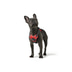 Hunter Geschirr Divo rot
