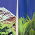 JBL FIXOL Aquarium Rückwandkleber