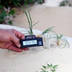JBL TerraSand Terrarien-Sand - 7,5 kg - weiss