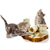 JR Farm Back to Instinct Cat Fun-Park