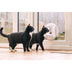 SureFlap Mikrochip Katzenklappe Connect + Hub