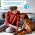 ZooRoyal Individual care - Adult Sensitive mit Lamm