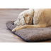 Petlando Hundekissen Chillermat cappuccino