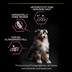 PRO PLAN Medium Puppy Sensitive Skin Lachs
