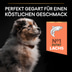 PRO PLAN Medium Puppy Sensitive Skin Lachs