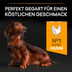 PRO PLAN Small & Mini Adult 9+ Huhn