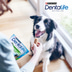 PURINA DENTALIFE Tägliche Zahnpflege-Snacks für mittelgroße Hunde
