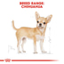 ROYAL CANIN Chihuahua Adult 3kg + Nassfutter 12x85g