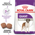 ROYAL CANIN Giant Adult 15kg + Maxi Adult 10x140g