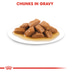 ROYAL CANIN MEDIUM Ageing 10+ 15kg + MEDIUM Ageing 10x140g