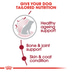 ROYAL CANIN MEDIUM Ageing 10+ 15kg + MEDIUM Ageing 10x140g