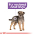 ROYAL CANIN STERILISED MINI 8kg + STERILISED Mousse 12x85g