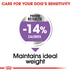 ROYAL CANIN STERILISED MINI 8kg + STERILISED Mousse 12x85g