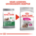 ROYAL CANIN EXIGENT MINI Trockenfutter für wählerische kleine Hunde 3kg