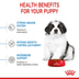 ROYAL CANIN GIANT Puppy Trockenfutter für Welpen sehr großer Rassen