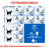 ROYAL CANIN INDOOR 7+ Trockenfutter für ältere Wohnungskatzen 3,5kg