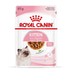 ROYAL CANIN KITTEN Nassfutter in Soße für Kätzchen