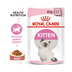 ROYAL CANIN KITTEN Sterilised 3,5kg + Kitten in Soße 12x85g
