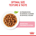 ROYAL CANIN KITTEN Nassfutter in Soße für Kätzchen