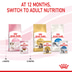 ROYAL CANIN KITTEN Nassfutter in Soße für Kätzchen