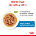 ROYAL CANIN MAXI PUPPY Welpenfutter nass für große Hunde