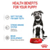 ROYAL CANIN MAXI PUPPY Welpenfutter nass für große Hunde