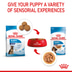 ROYAL CANIN MAXI PUPPY Welpenfutter nass für große Hunde