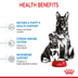 ROYAL CANIN MAXI Starter für tragende Hündin und Welpen großer Rassen