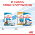 ROYAL CANIN MAXI Starter für tragende Hündin und Welpen großer Rassen