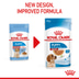 ROYAL CANIN MEDIUM PUPPY Welpenfutter nass für mittelgroße Hunde