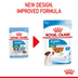 ROYAL CANIN Mini Puppy Welpenfutter Nass für kleine Hunde