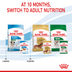 ROYAL CANIN Mini Puppy Welpenfutter Nass für kleine Hunde