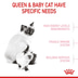 ROYAL CANIN MOTHER & BABYCAT Katzenfutter für tragende Katzen und Kitten
