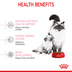 ROYAL CANIN MOTHER & BABYCAT Katzenfutter für tragende Katzen und Kitten