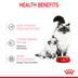 ROYAL CANIN MOTHER & BABYCAT Mousse für tragende Katzen und Kitten