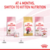 ROYAL CANIN MOTHER & BABYCAT Mousse für tragende Katzen und Kitten
