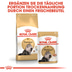 ROYAL CANIN Persian Adult Katzenfutter nass für Perser-Katzen