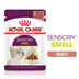 Royal Canin Sensory Smell Gravy