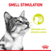 Royal Canin Sensory Smell Gravy