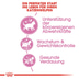ROYAL CANIN KITTEN Sterilised 3,5kg + Kitten in Soße 12x85g
