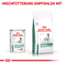 ROYAL CANIN® Veterinary DIABETIC SPECIAL LOW CARBOHYDRATE Mousse Nassfutter für Hunde