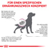 ROYAL CANIN® Veterinary RENAL SPECIAL Trockenfutter für Hunde