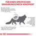 ROYAL CANIN® Veterinary RENAL SPECIAL Trockenfutter für Katzen