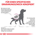 ROYAL CANIN® Veterinary RENAL Trockenfutter für Hunde