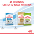 ROYAL CANIN X-SMALL Puppy Trockenfutter für Welpen sehr kleiner Hunderassen