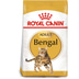 ROYAL CANIN Bengal Adult Katzenfutter trocken